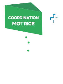 COORDINATION MOTRICE