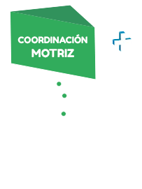 COORDINACIÓN MOTRIZ