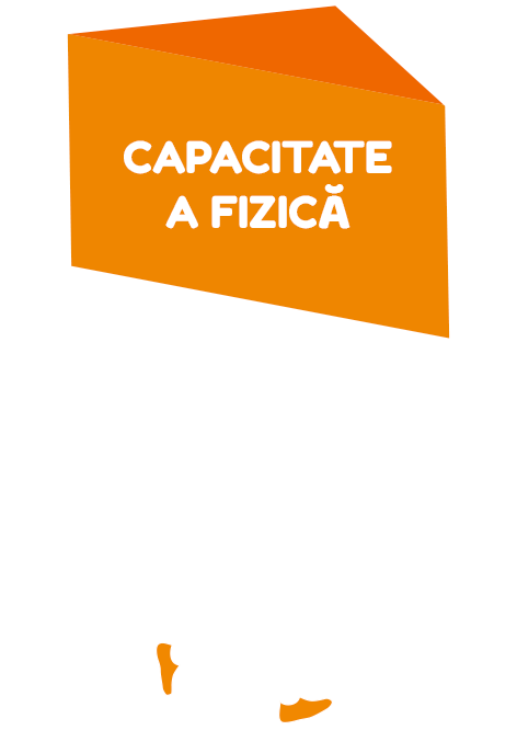 CAPACITATE FIZICĂ
