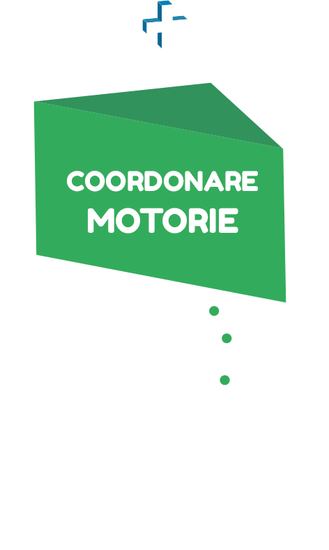 COORDONARE MOTORIE