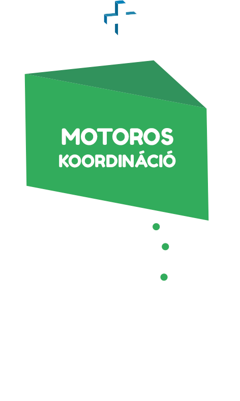 MOTOROS KOORDINÁCIÓ
