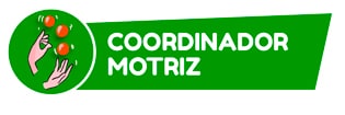 COORDINADOR MOTOR
