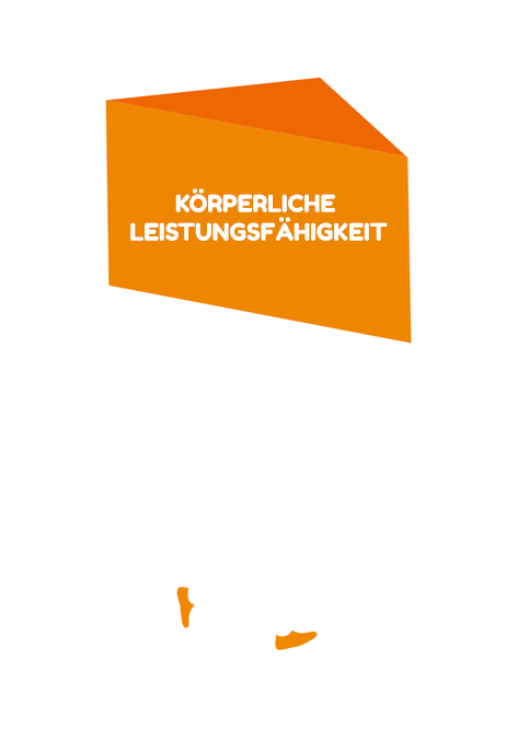 KÖRPERLICHE LEISTUNGSFÄHIGKEIT