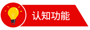 认知功能