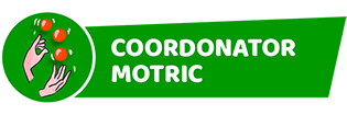 COORDONATOR MOTRIC