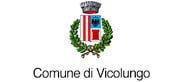 Logo Comune Vicolungo